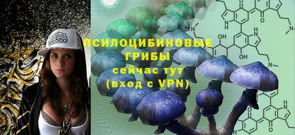 спайс Алзамай