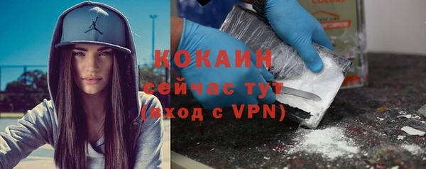 спайс Алзамай